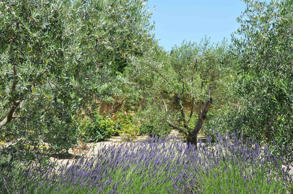 La Maison De Line Saint-Rémy-de-Provence Pokój zdjęcie