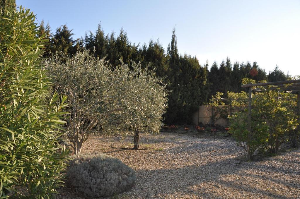 La Maison De Line Saint-Rémy-de-Provence Zewnętrze zdjęcie