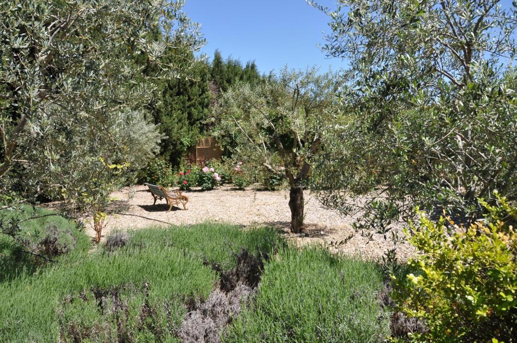 La Maison De Line Saint-Rémy-de-Provence Zewnętrze zdjęcie