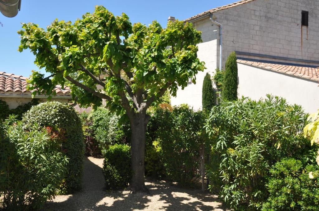 La Maison De Line Saint-Rémy-de-Provence Zewnętrze zdjęcie